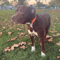 Thumbnail photo of Harrold #2