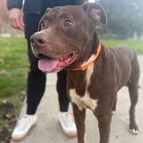 Thumbnail photo of Harrold #3