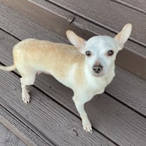 Thumbnail photo of Autumn Breeze #1