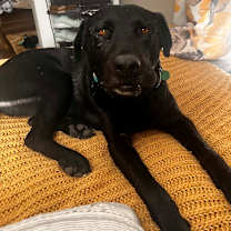 Thumbnail photo of Shawn #2