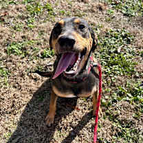 Thumbnail photo of Penelope #1