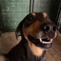 Thumbnail photo of Penelope #2