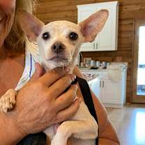 Thumbnail photo of Autumn Breeze #3