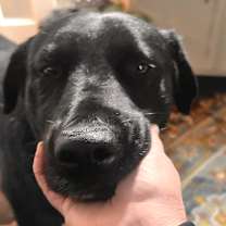 Thumbnail photo of Shawn #3