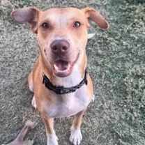 Thumbnail photo of Willow #2