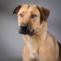 Thumbnail photo of Clark #1