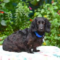 Thumbnail photo of Tucker D #4