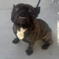 Thumbnail photo of Meatloaf #1