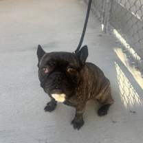 Thumbnail photo of Meatloaf #2