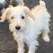 Thumbnail photo of Easton #1