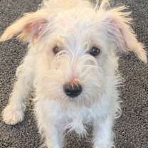 Thumbnail photo of Easton #2