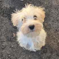 Thumbnail photo of Easton #3