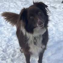 Thumbnail photo of MOANA #2