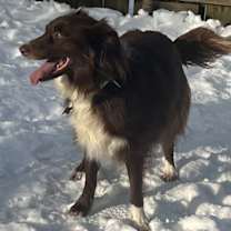 Thumbnail photo of MOANA #3