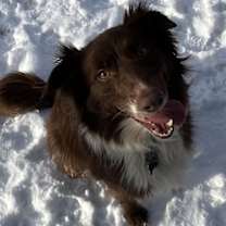 Thumbnail photo of MOANA #4