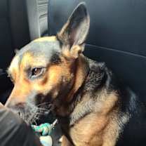 Thumbnail photo of Kc #3