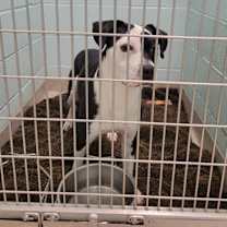 Thumbnail photo of Coolio #2