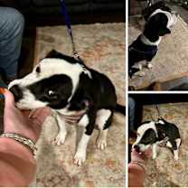 Thumbnail photo of Coolio #3