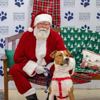 Thumbnail photo of AVOCADO Foster #1