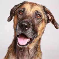 Thumbnail photo of Diamond #1