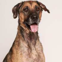 Thumbnail photo of Diamond #2