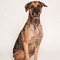 Thumbnail photo of Diamond #3