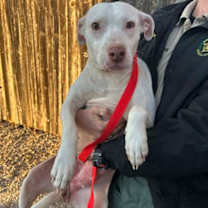 Thumbnail photo of Amanda #2