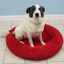 Thumbnail photo of Mike #3