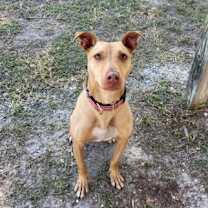 Thumbnail photo of Sadie Sillygrin #1