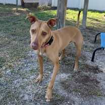 Thumbnail photo of Sadie Sillygrin #3