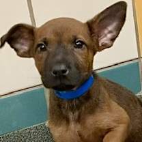 Thumbnail photo of Digit #1