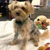 Thumbnail photo of Ava #2