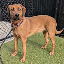 Thumbnail photo of Hailey #1