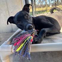 Thumbnail photo of Ridge #1