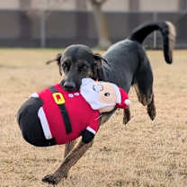 Thumbnail photo of Walter #1