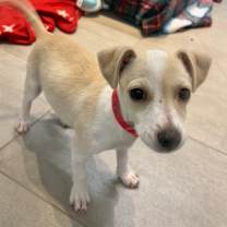 Thumbnail photo of Tia #2