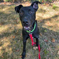 Thumbnail photo of Ridge #2