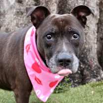 Thumbnail photo of Pumkin #1