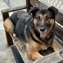 Thumbnail photo of PEPPER #1