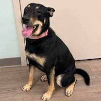 Thumbnail photo of Mali #2