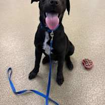 Thumbnail photo of Pedro #3