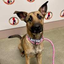 Thumbnail photo of Clarice #2