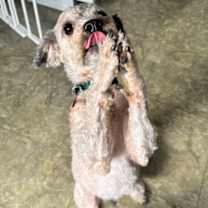 Thumbnail photo of Hobbs #3