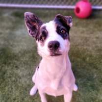 Thumbnail photo of Ermes #1