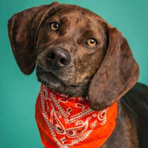 Thumbnail photo of Margot #1