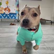 Thumbnail photo of Evie #1