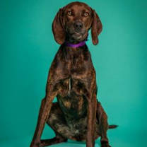 Thumbnail photo of Margot #2