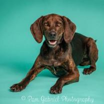 Thumbnail photo of Margot #3