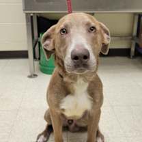 Thumbnail photo of Buddie Tortellini #1