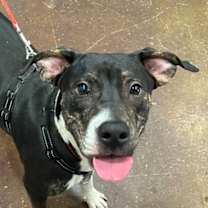 Thumbnail photo of Oakley #1